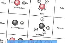 Полярные и неполярные молекулы