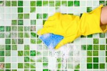 Как можно избавиться от плесени в ванной, 20 лучших средств удаления
