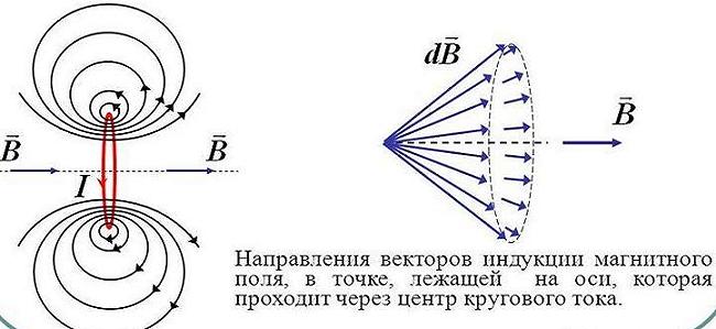 Магнитная индукция кругового поля. Вектор магнитной индукции на оси кругового тока. Вектор магнитной индукции в центре кругового тока направлен:. Вектор магнитной индукции кругового. Чертеж линий индукции магнитного поля кругового тока.