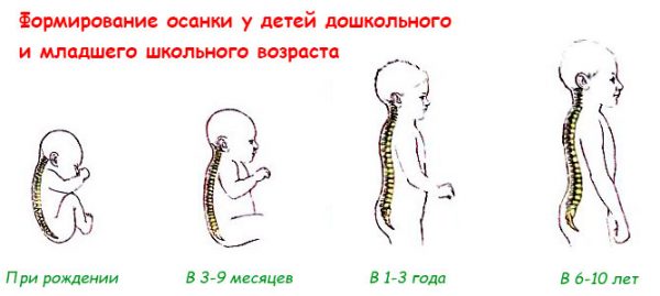 Рекомендации по выбору матраса для кровати